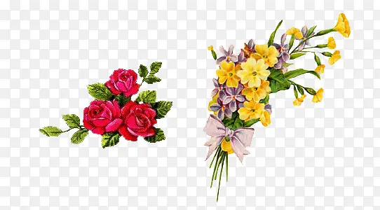 ��õ��ͻƻ��ز�-������