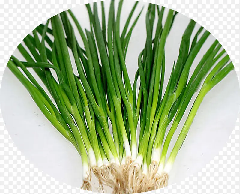 ����С������ʳƷ-������