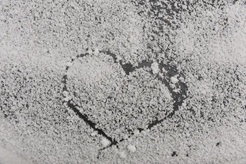 ѩ�����α���-������