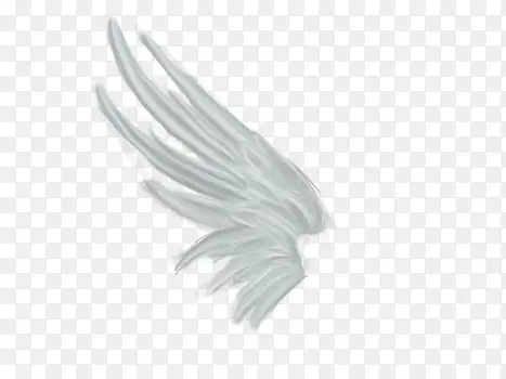 ��ɫ����ʹ���-������