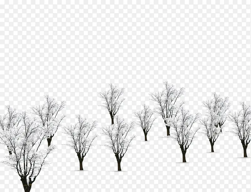 ʥ����ʥ�������ͼ�ز�-������