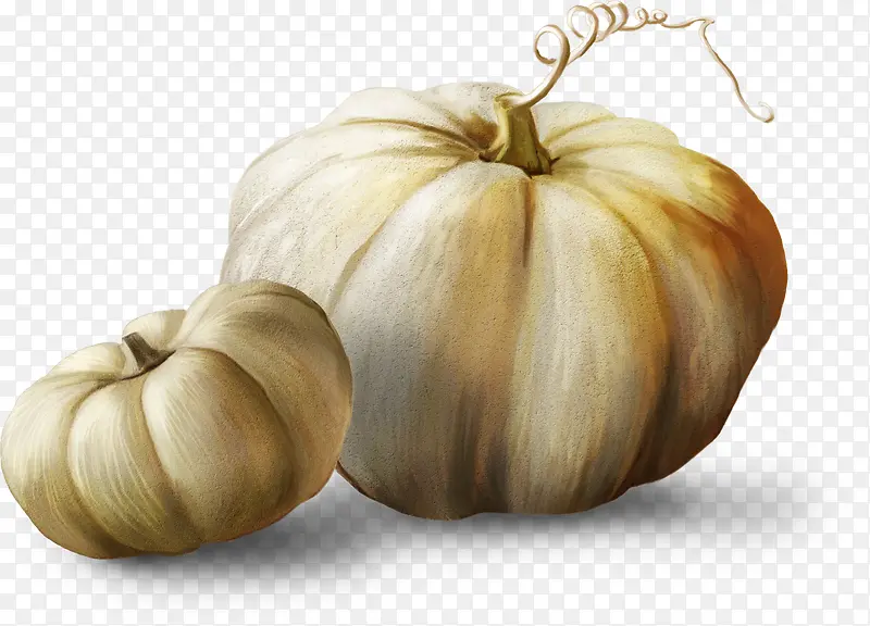 ��ɫ�Ϲ�-������