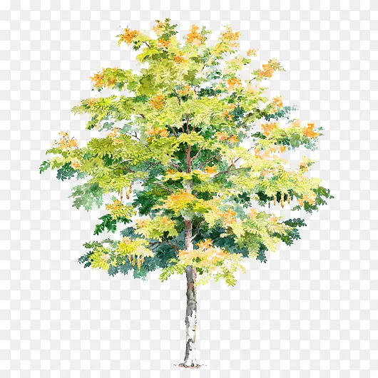 �廭����-������