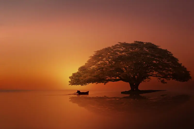 Ψ��������ɫ����-������