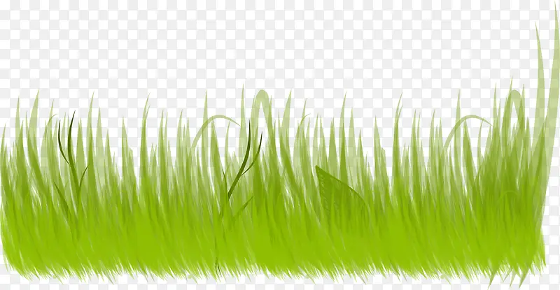 ʸ��ͼ�̲ݵ��̲�-������