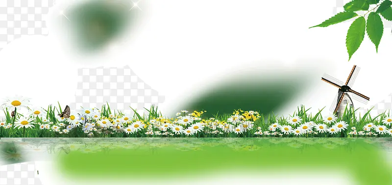 ��ɫ����  �ݵ� ��������-������