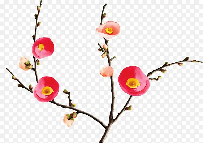 ��ɫ����-������