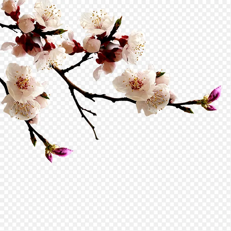 ÷������-������