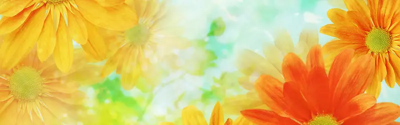 ���ﻨ�㰮����������-������