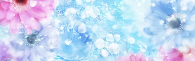 ���ﻨ�㰮����������-������