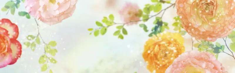 ���ﻨ�㰮����������-������