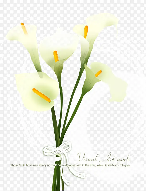 ��������Ƭ�����ز�-������