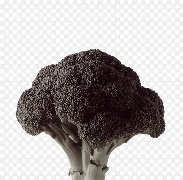 ����˻�-������