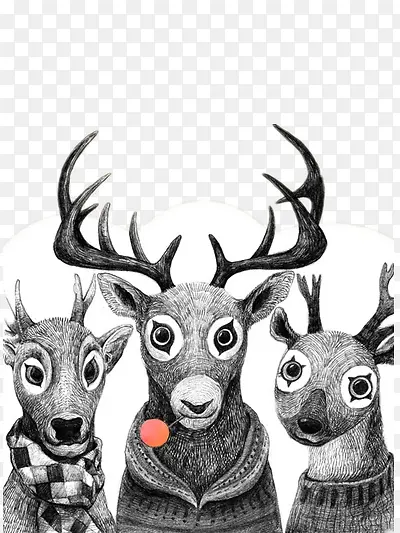 �廭-������