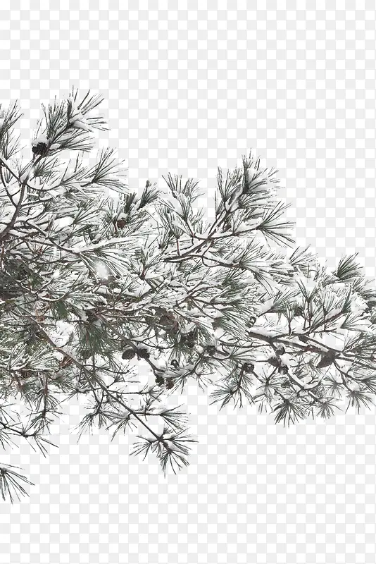 ѩѹ����-������