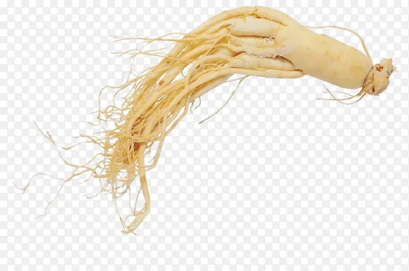 ҩ��ʳ��һ����ɫ�˲�-������