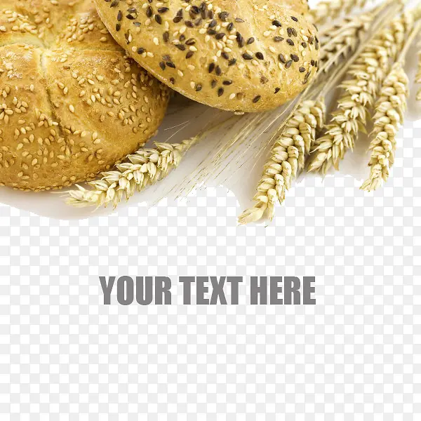 ����ʳƷȫ�����-������