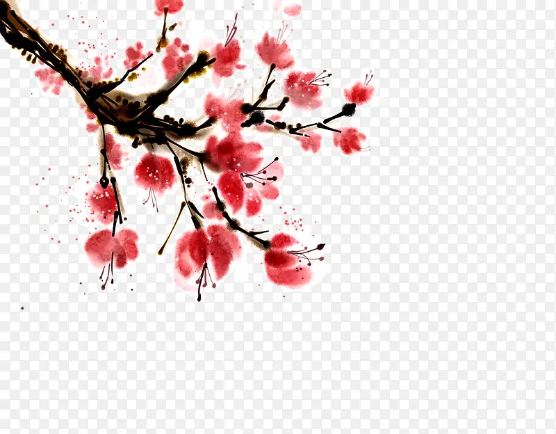 ��ɫ��-������