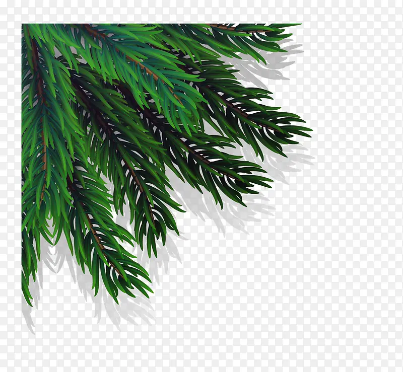 ʸ��ʥ��������֦-������