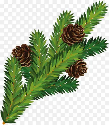 ʥ��������֦-������