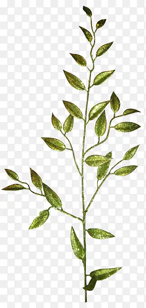 ��Ҷ�ӽ���֦-������