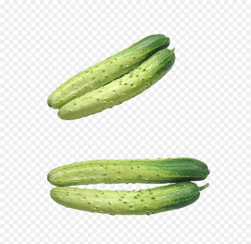 �Ϲ����߲˻ƹ����ͼ-������