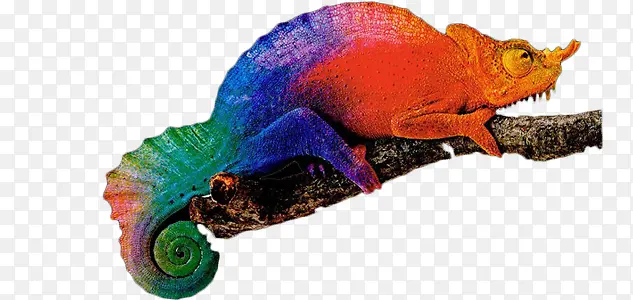 ��ɫ��ɫ��-������