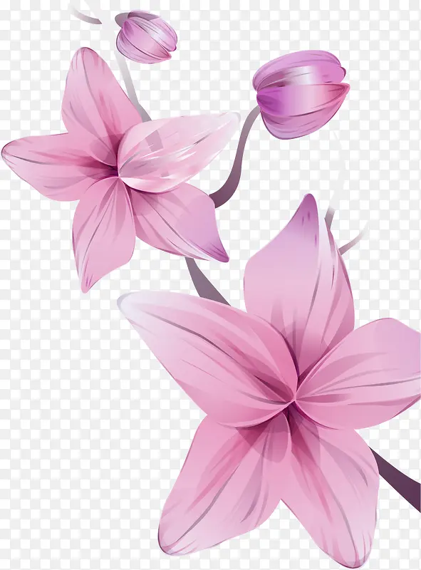 �ֻ滨��-������