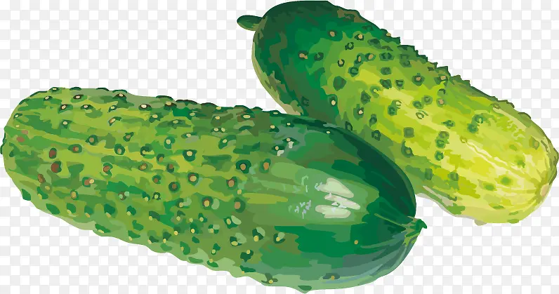 �ƹ�PNGʸ���ز�-������