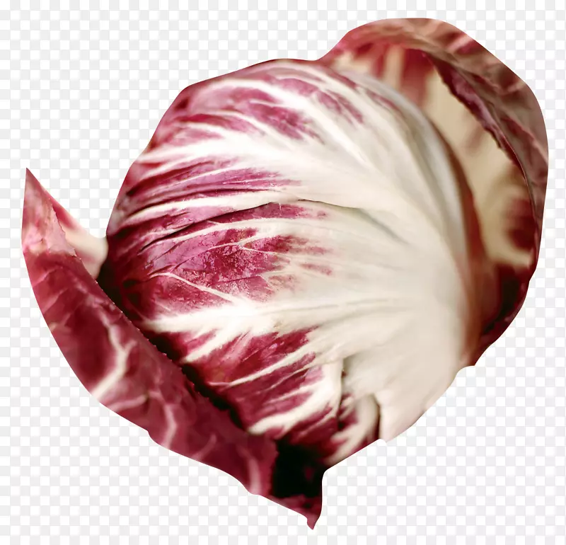 ���Ĳ���ɳ��-������