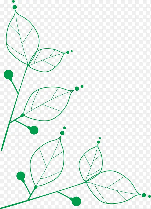 ��ɫ��Ҷ����-������