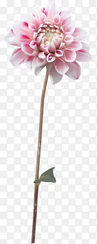 ���������ز��ֻ滨���ز�-������