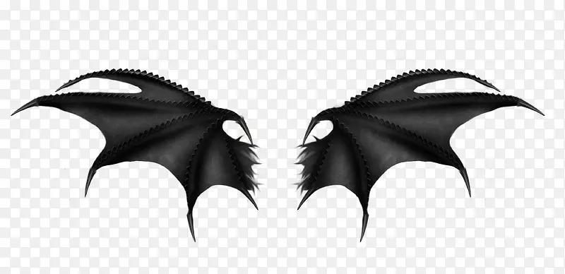 ����ĳ��-������