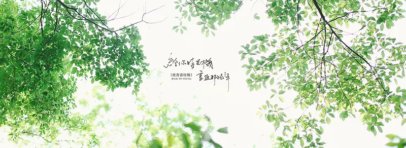 ��Ҷbanner���-������