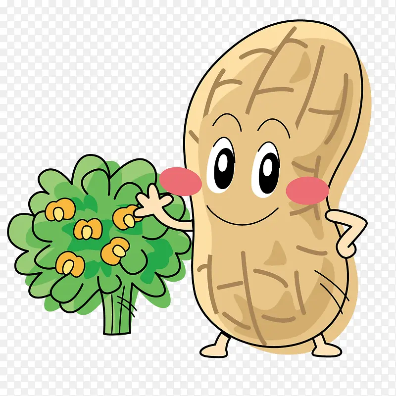 �������߲�-������