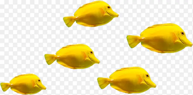 ��Ӱ���պ���������ȺЧ��-������