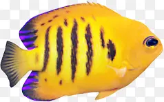 ��Ӱ��Ч�����׺���-������