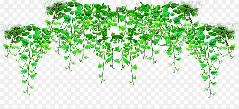 ��Ӱ��������Ч����Ӱͼ-������