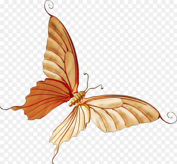 ��������Ʒ-������