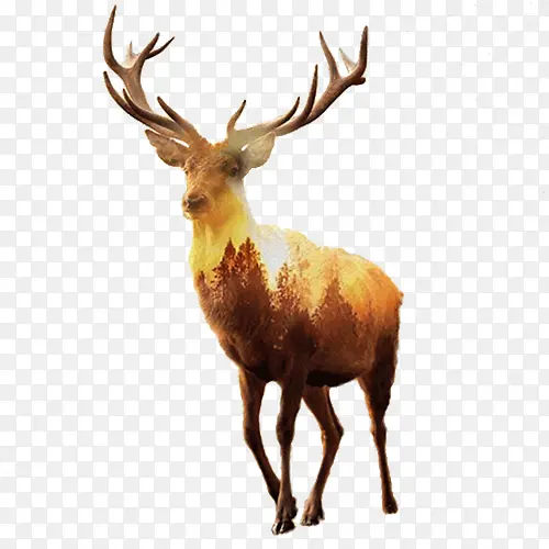 ��Լ�ƻ�����廭-������