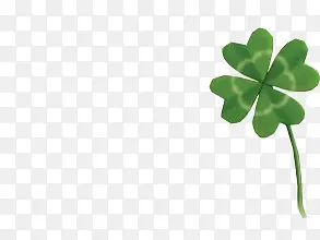 ��Ҷ��-������