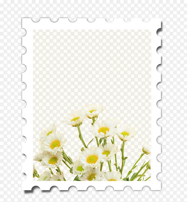 С���±߿�-������