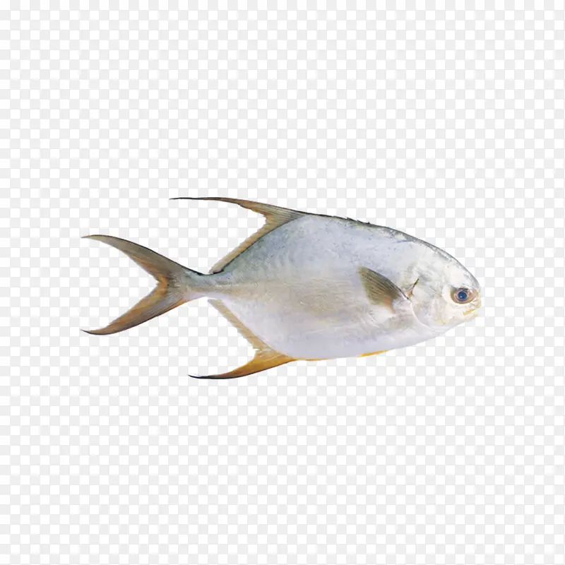 ���㱳��ͼƬ-������