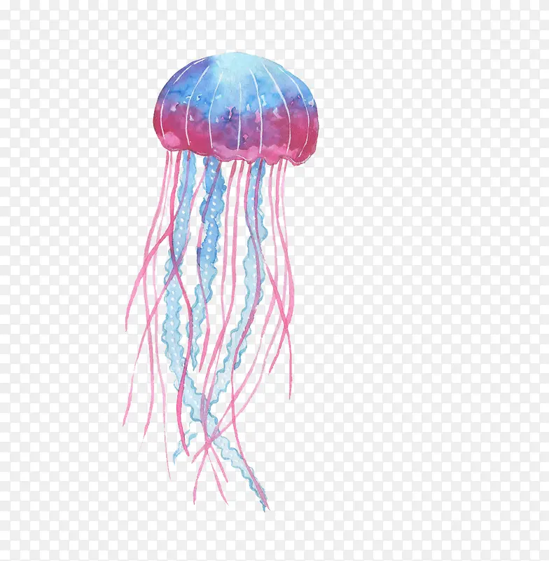 ��ɫ��ˮĸ-������