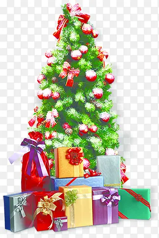 ����ʥ����ѩ��ֲ��-������