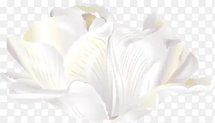 �����ɫ��Ӱ����-������