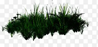 һ�Ѳ�-������