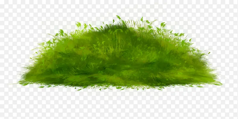 �ݶ�-������