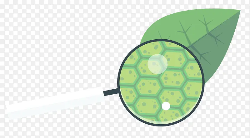 ʸ��ֲ��ϸ���ز�-������