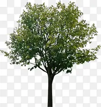 ʪ�ؾ�����������-������